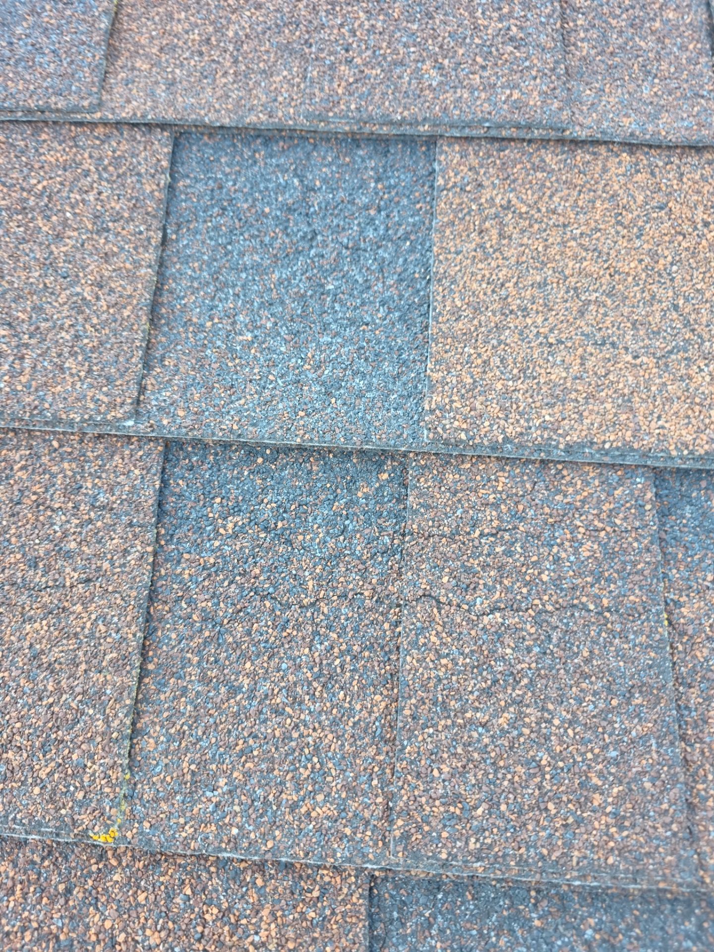  Roof Rejuvenation using Roof Maxx Treatment by Roof Maxx of Folsom