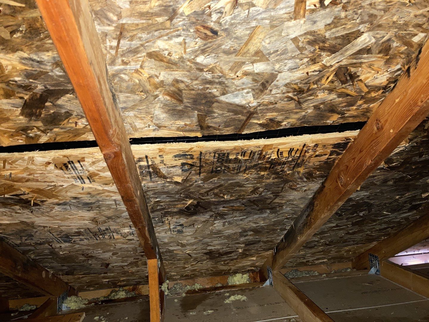 Mold Remediation Cleanup in Attic by Accountable Home Services