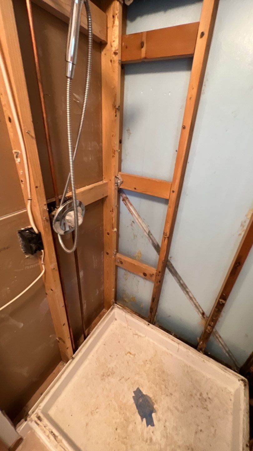 Water Damage and Mold Remediation by Accountable Home Services