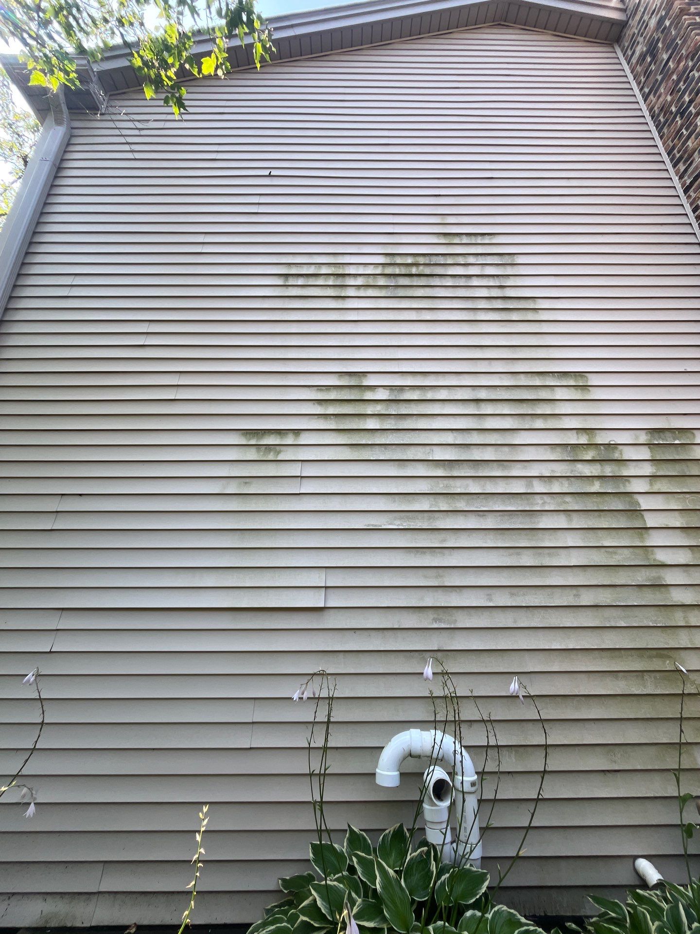 Housewashing  using Algaecide, soft wash soap by Northern Power Washing LLC.