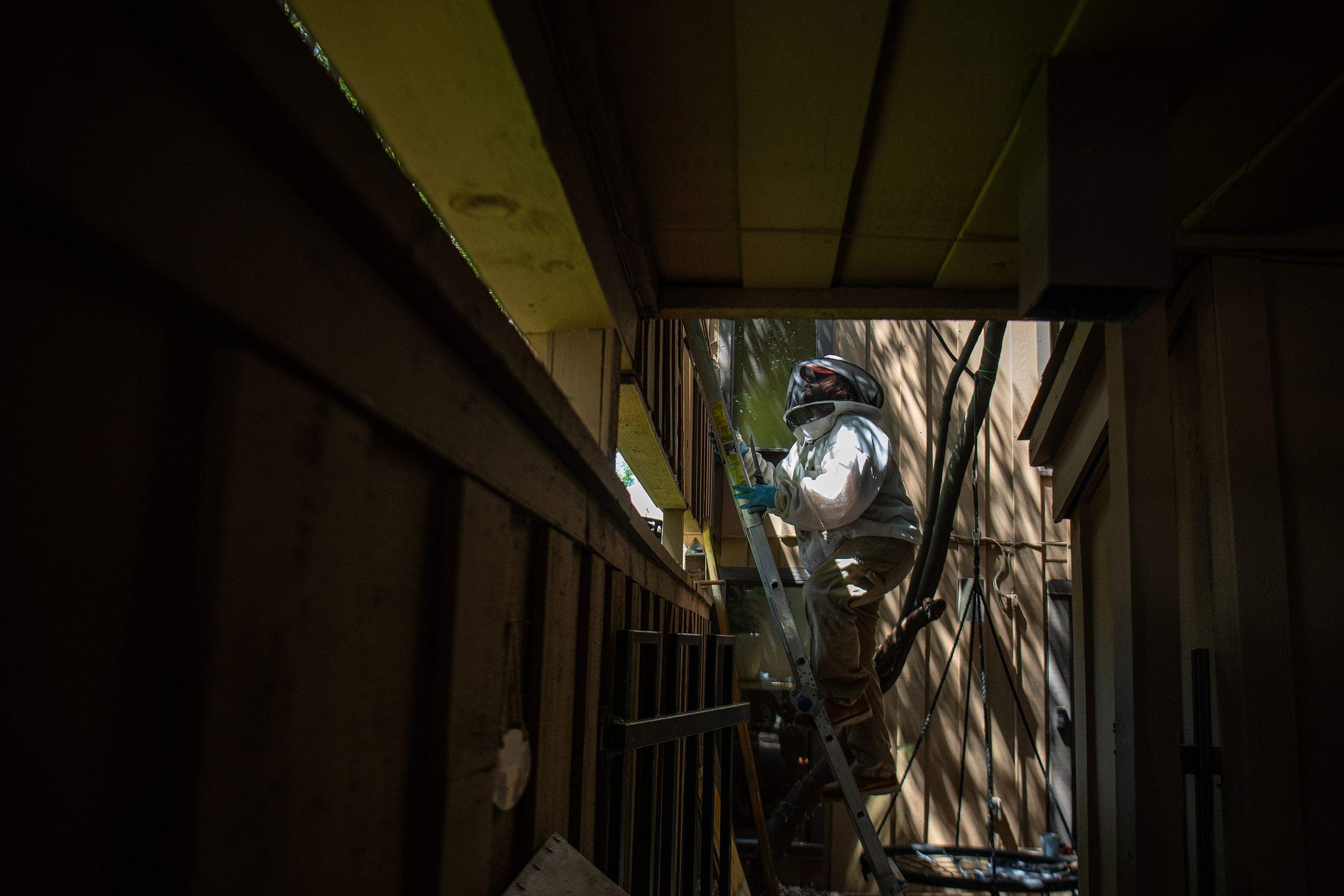 Condo Patio by Rockwall Honey Bee Company