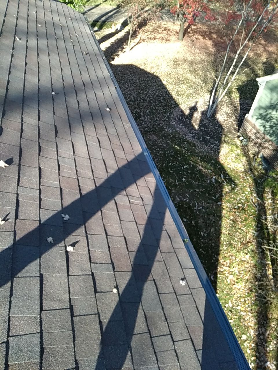 Nicholas Leonard by Silver Leaf Contracting 