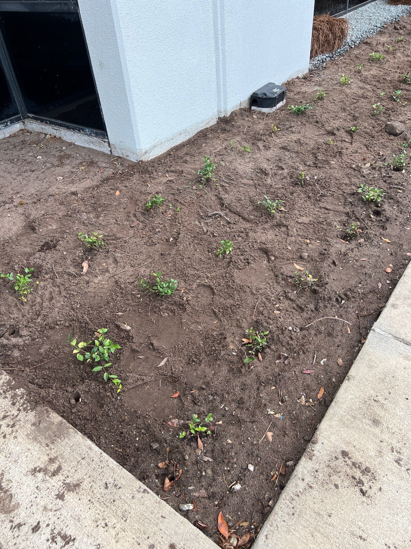 Large Landscape Project | Center Point by ProGreen Services