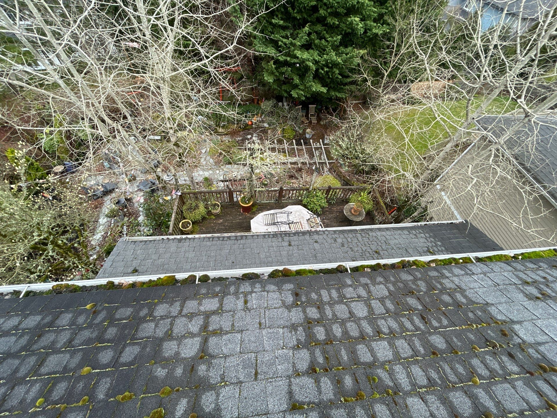 Project in Bellevue by Peaks and Valleys Construction