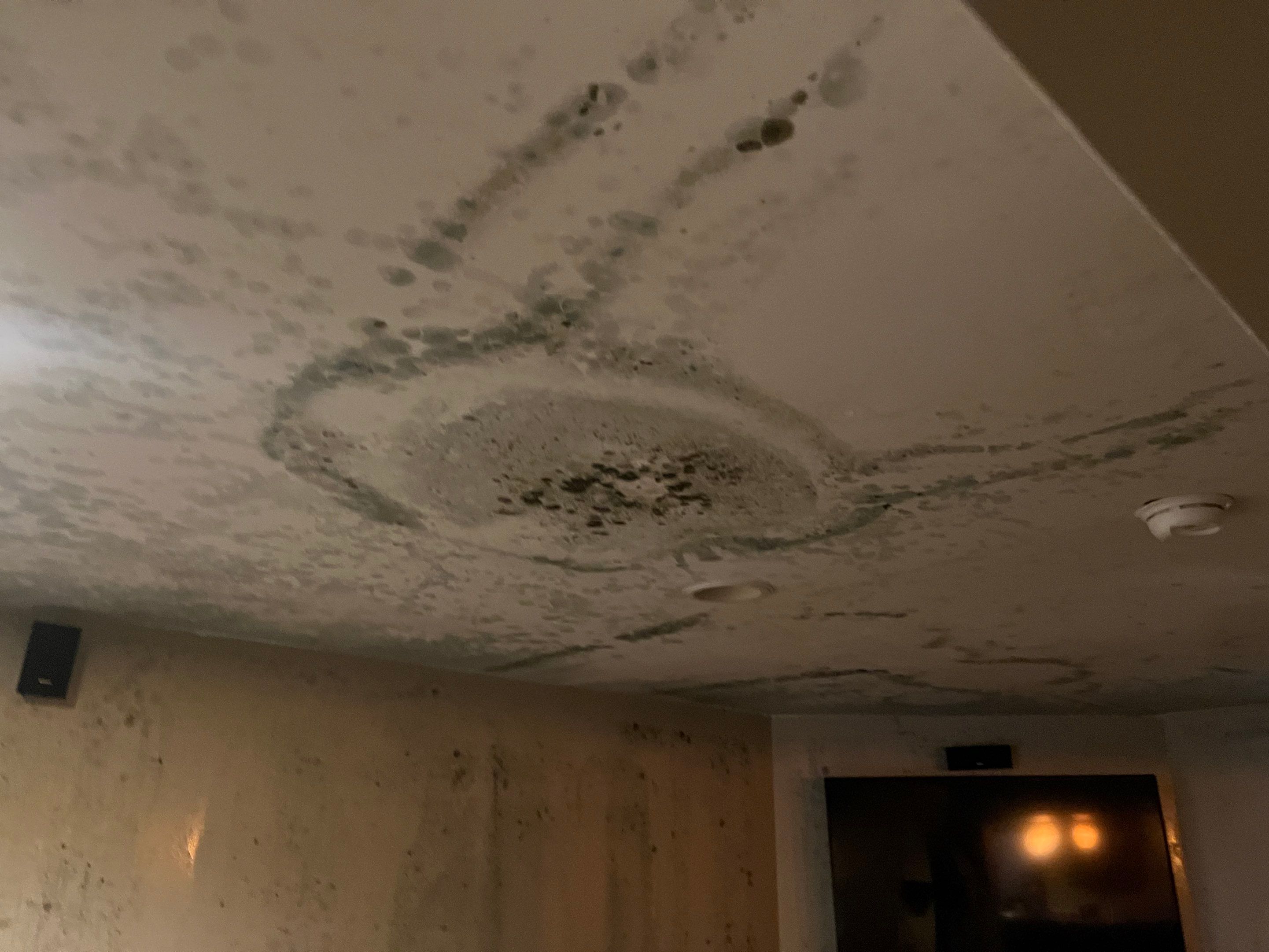 EMS Water Damage and Mold Remediation in Louisville, KY by ANR Restoration