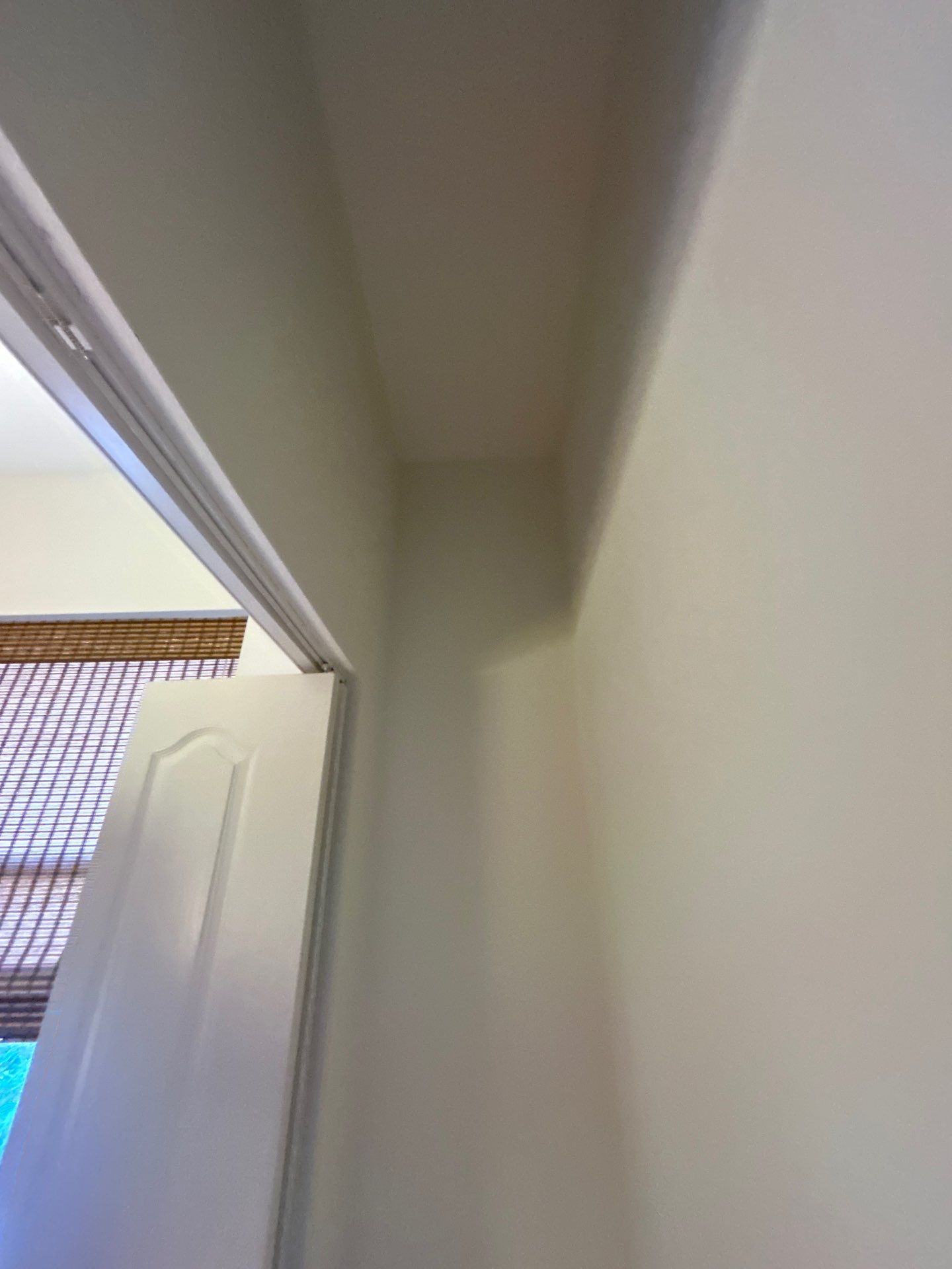 Mold Damage Restoration In Osprey by Ampm Restoration Services