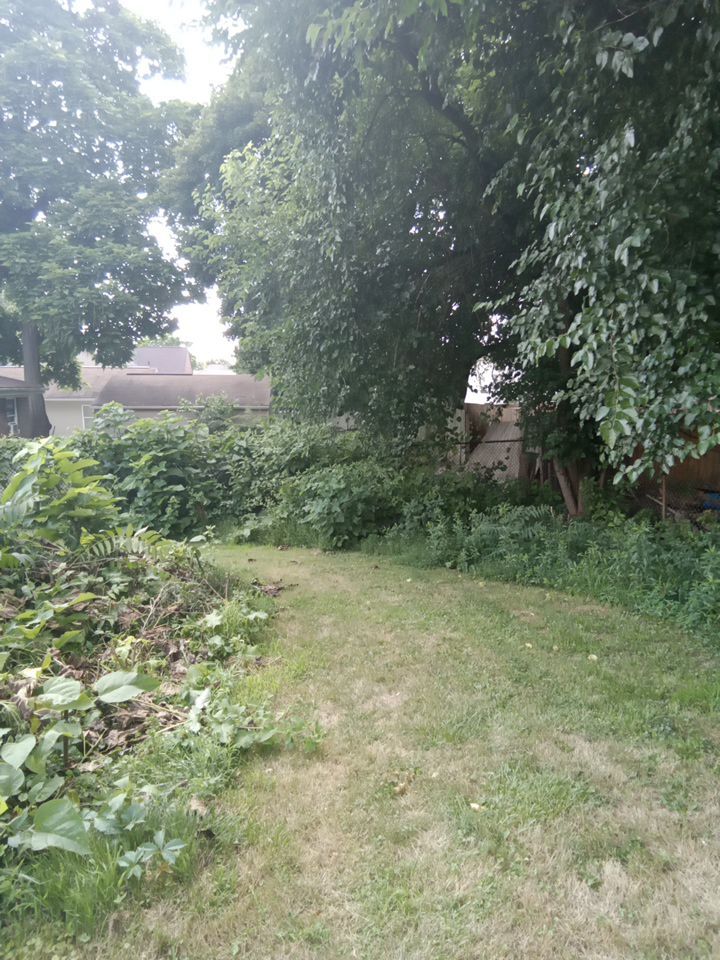 Tree Removal using Tree Removal by Mike Jones & Sons Tree Service LLC 