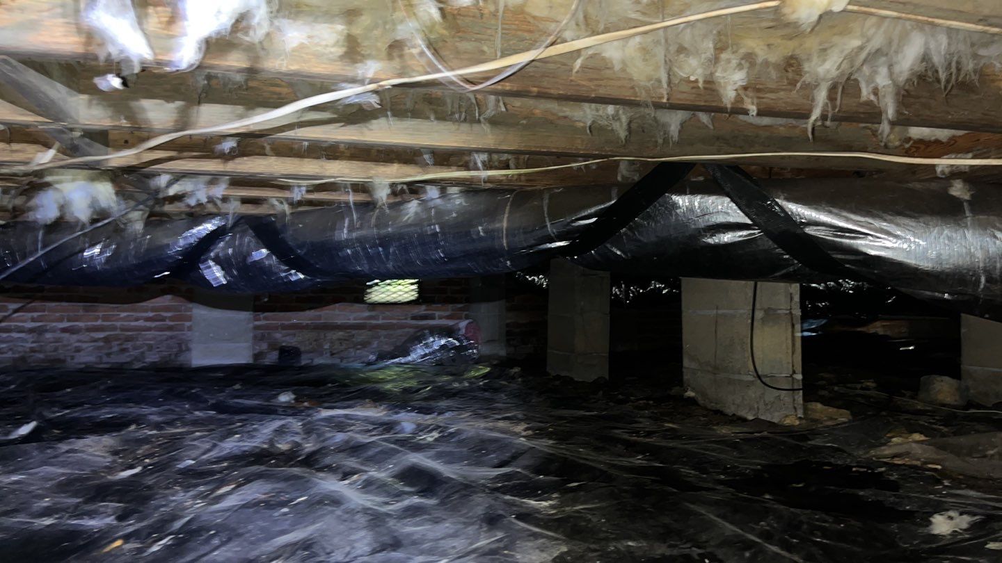 Impact Choice Encapsulation using YCS Pro Cleaner by Impact Crawlspace