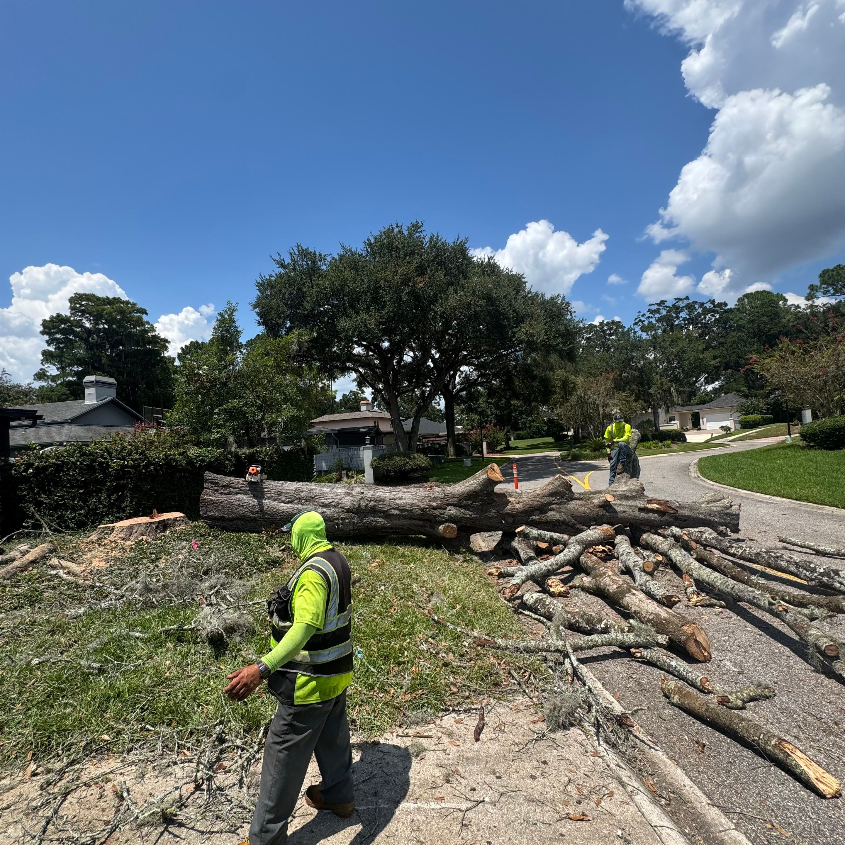 Deerwood Resident | Tree Removal by ProGreen Services
