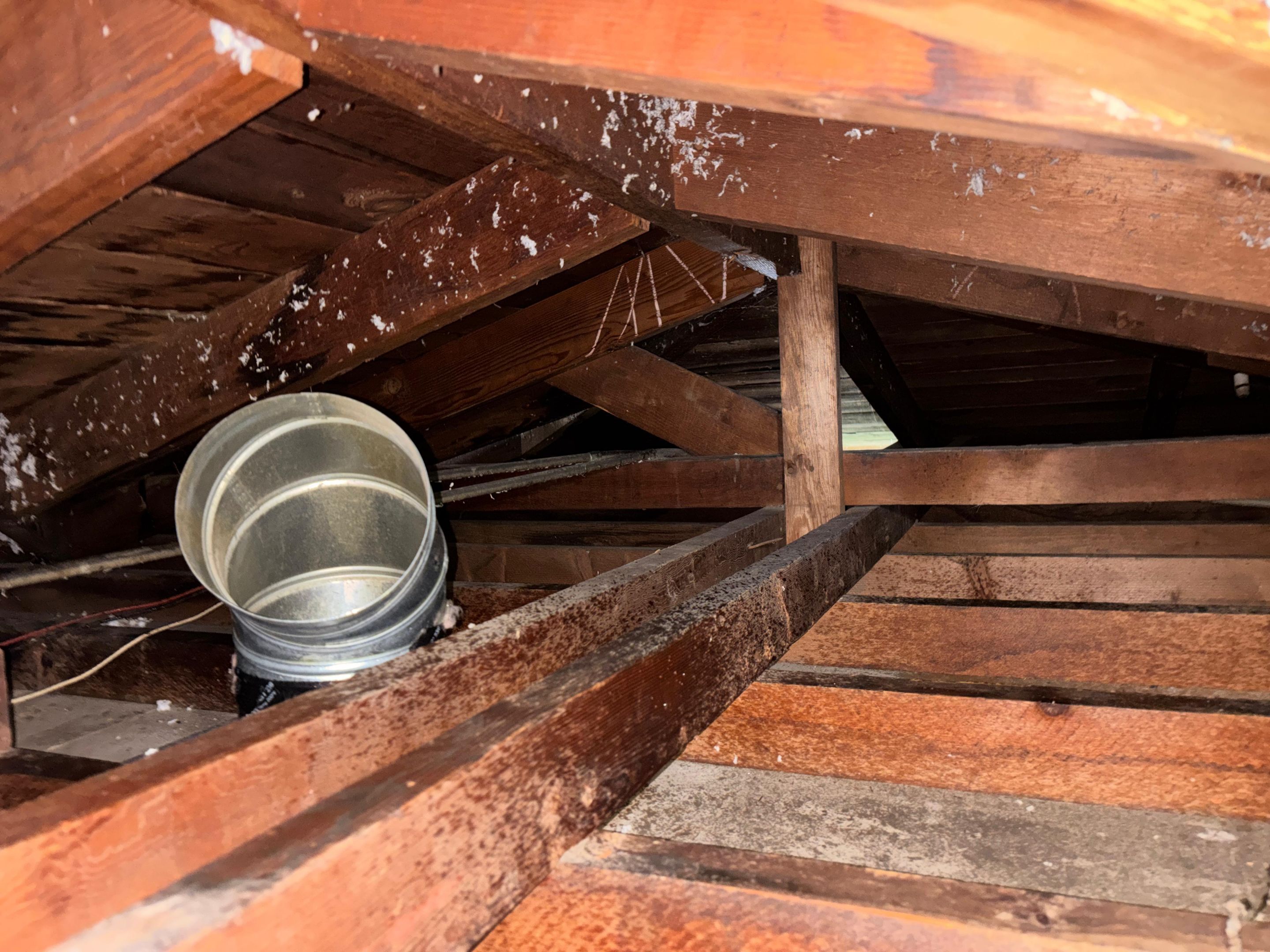 Project in Burbank by Insulation Labs