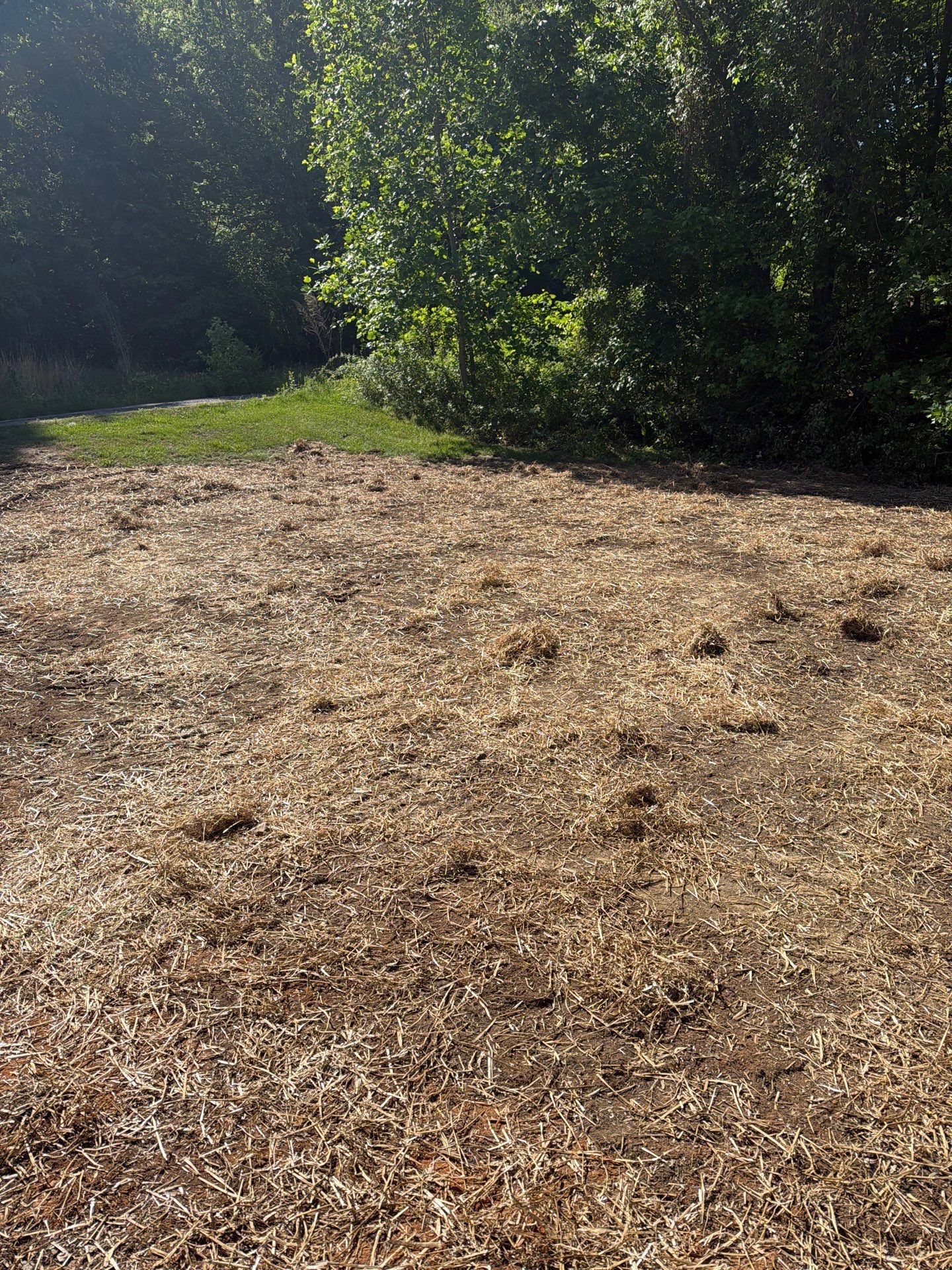 Residential Site Grading and Stormwater Drainage Installation in Thomasville by Four Oaks Grading and Septic, LLC