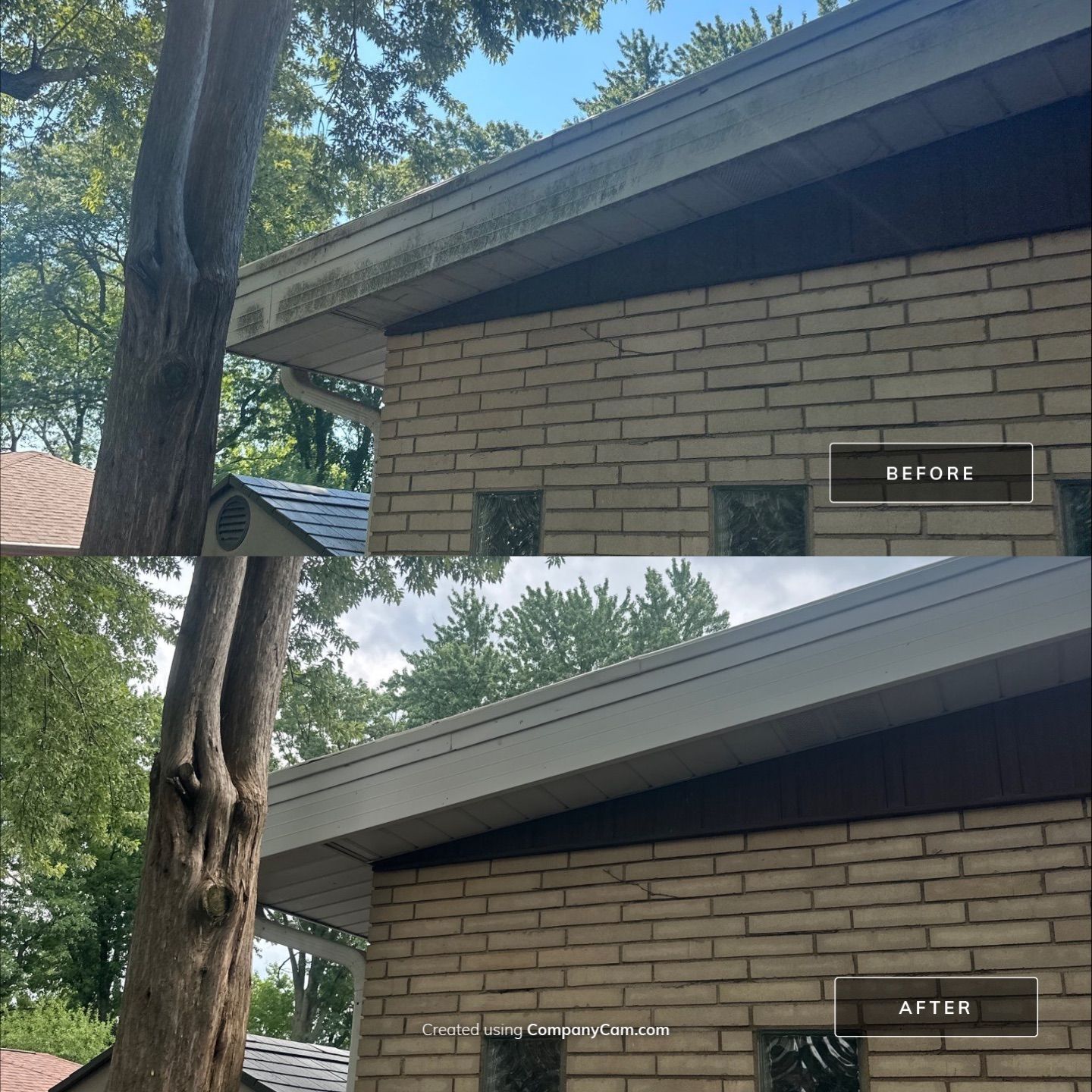 Project in Prospect Heights by Simmons Power & Soft Washing