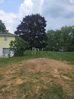Tree Removal using Tree Removal