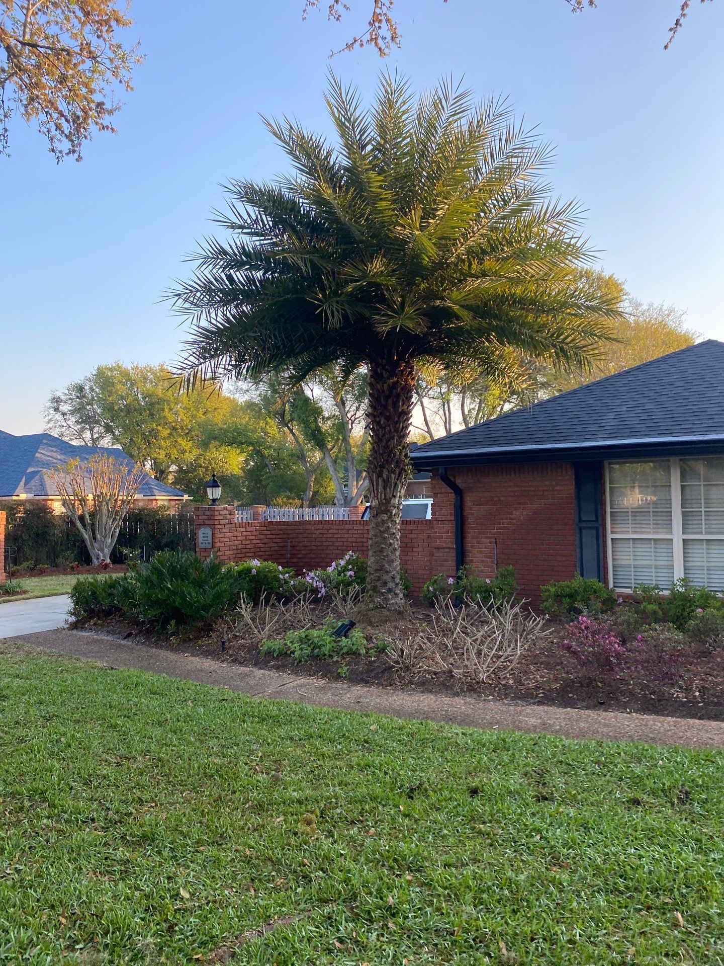 Deerwood Resident | Tree Service by ProGreen Services