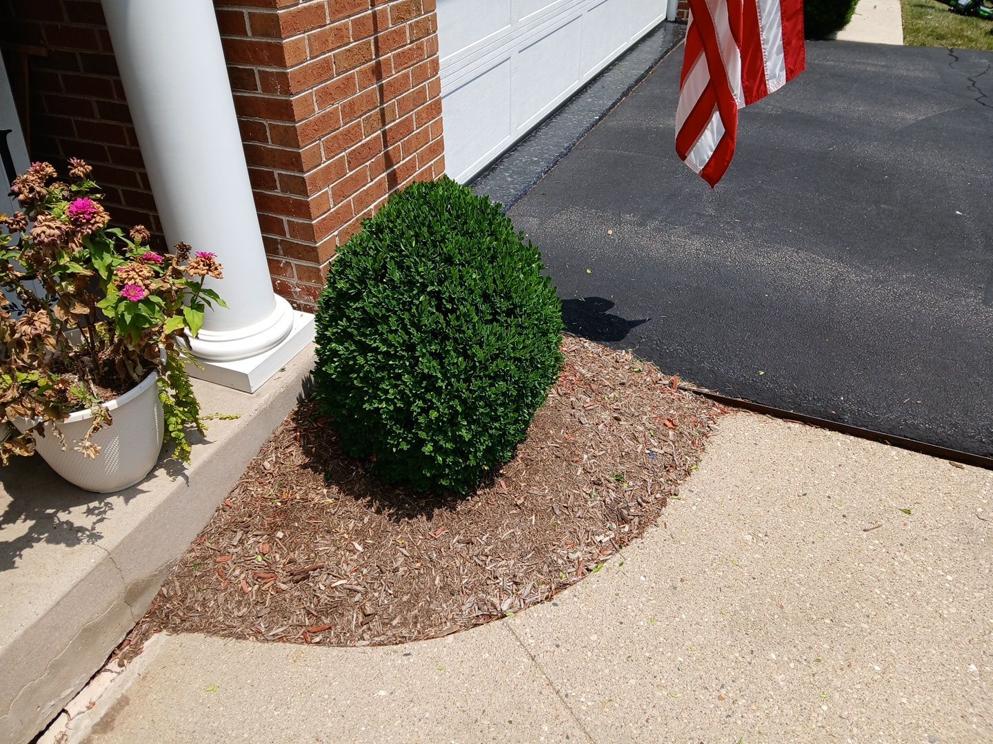 Michael I. - Glenview, IL by A&N 