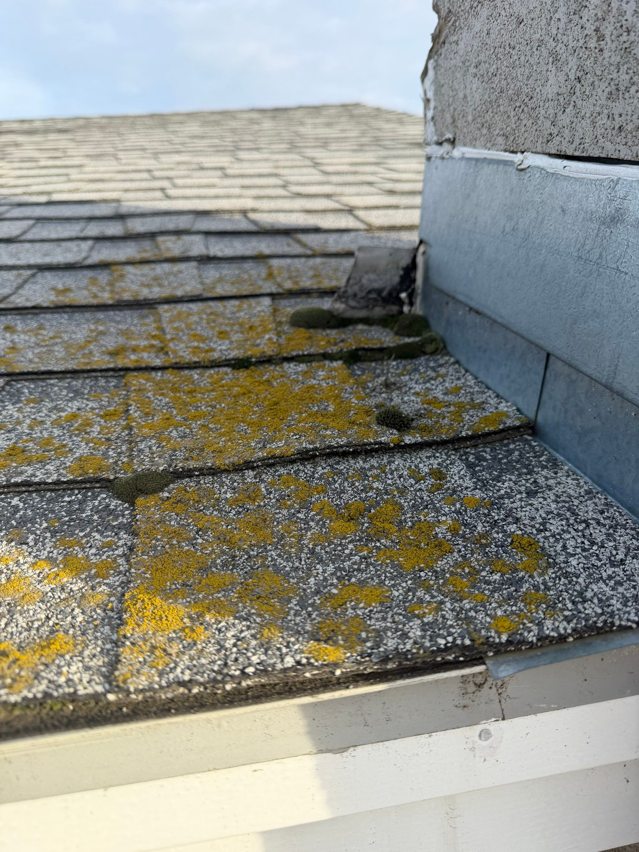 Roof, Siding, Door by BN Covered Exteriors