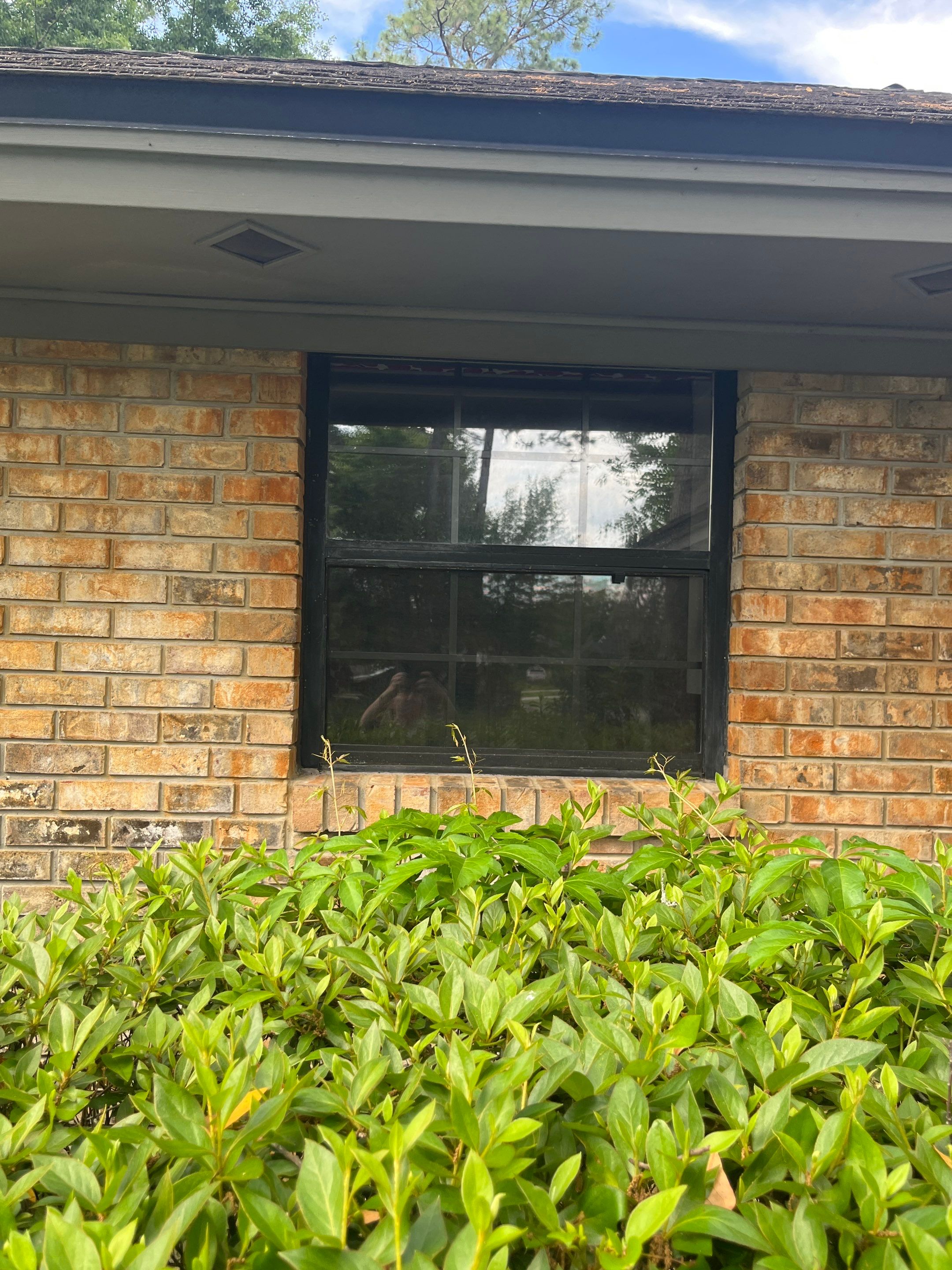 Andersen Windows and Doors by American Window Products Inc CBC1251207