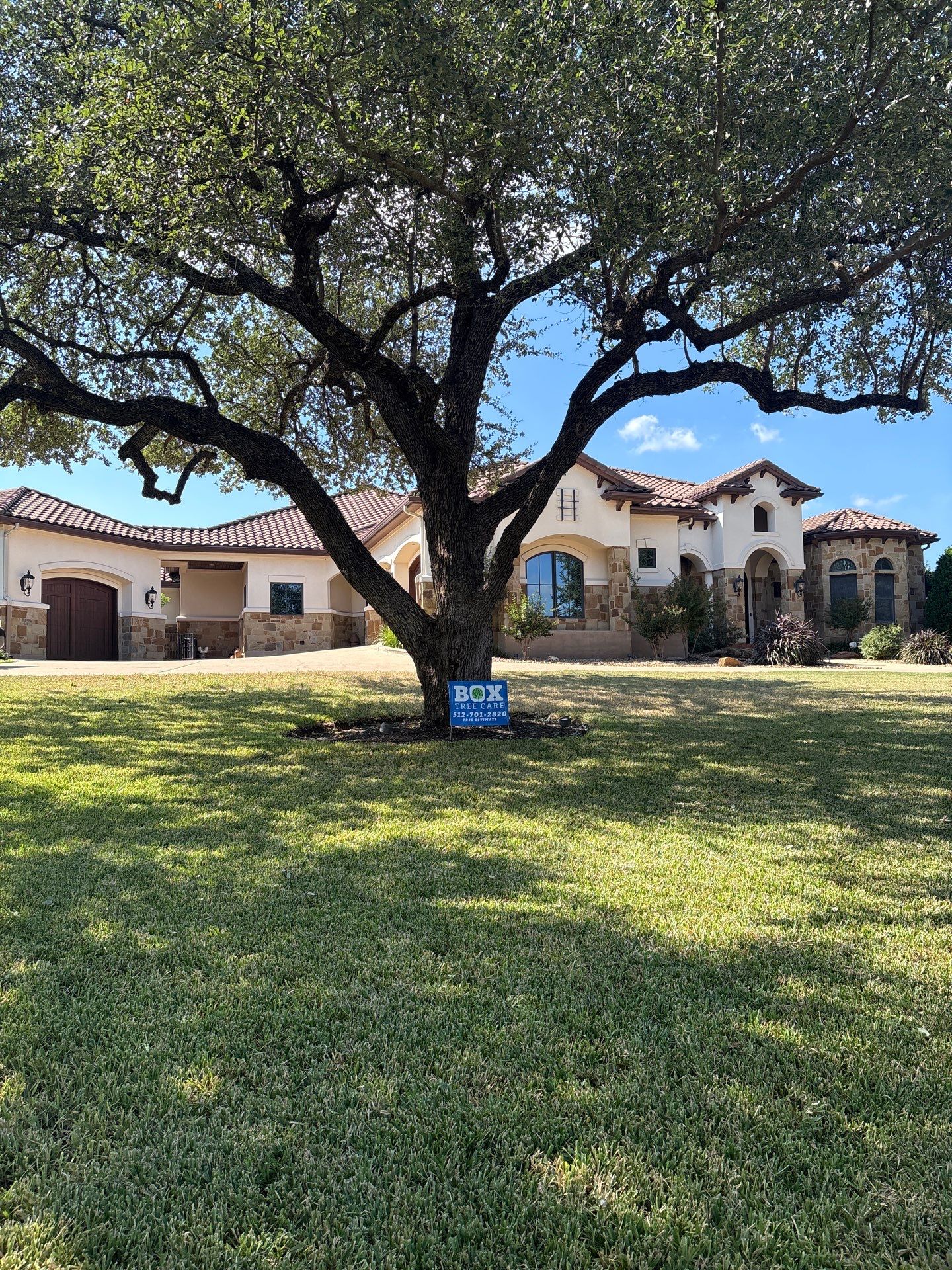 Tree Trimming & Pruning  by Box Tree Care 