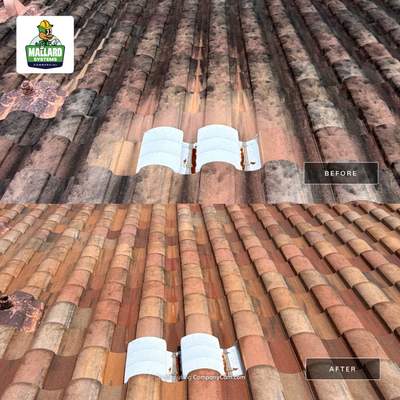 Residential Roof Cleaning in Kissimmee