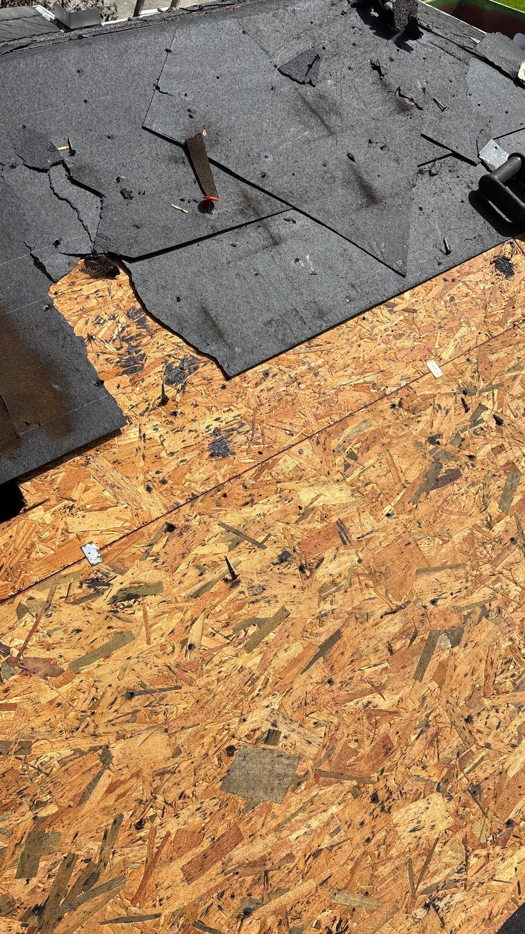 True Force Roofing featured photo.
