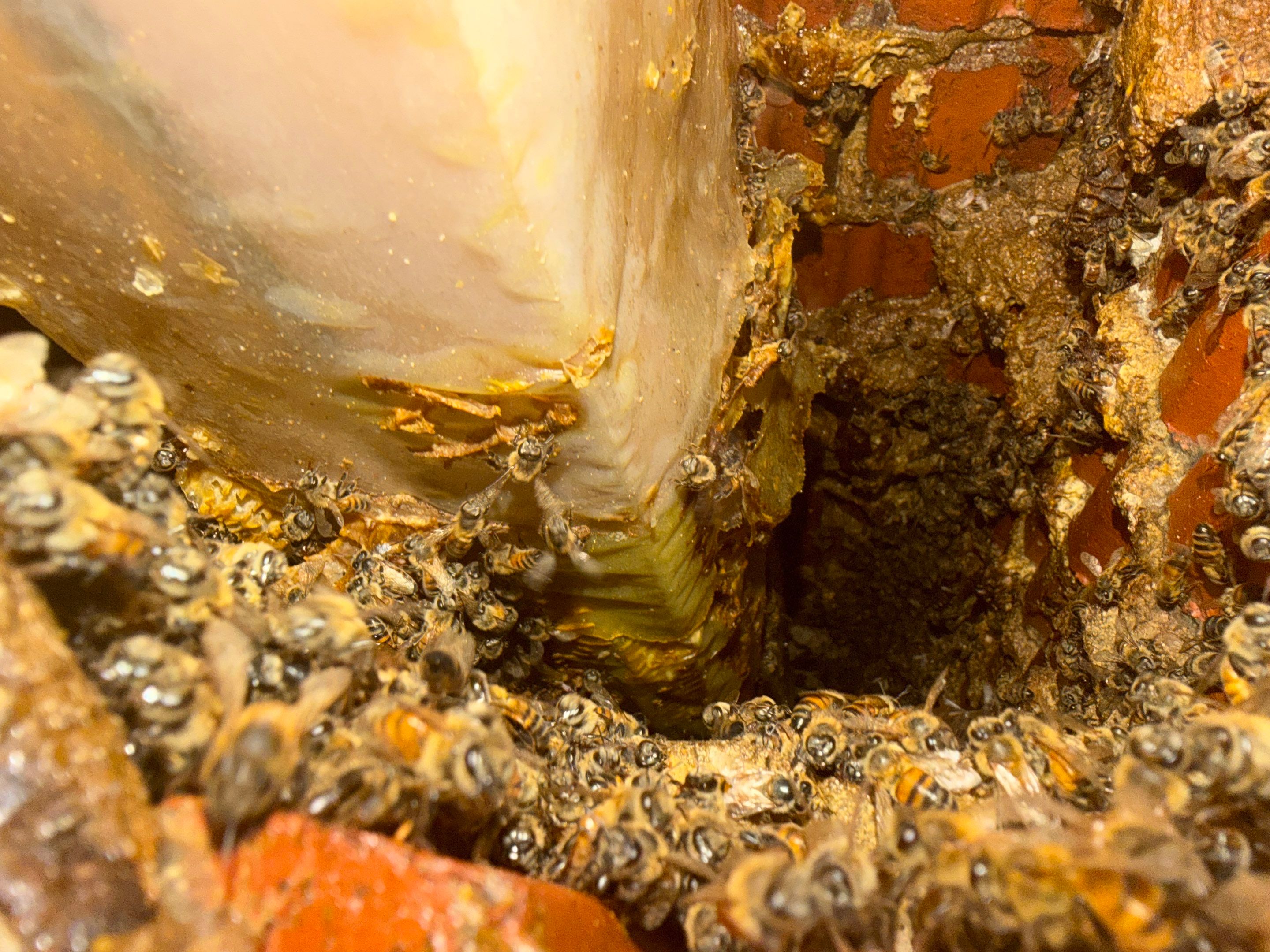 Brick Column by Rockwall Honey Bee Company