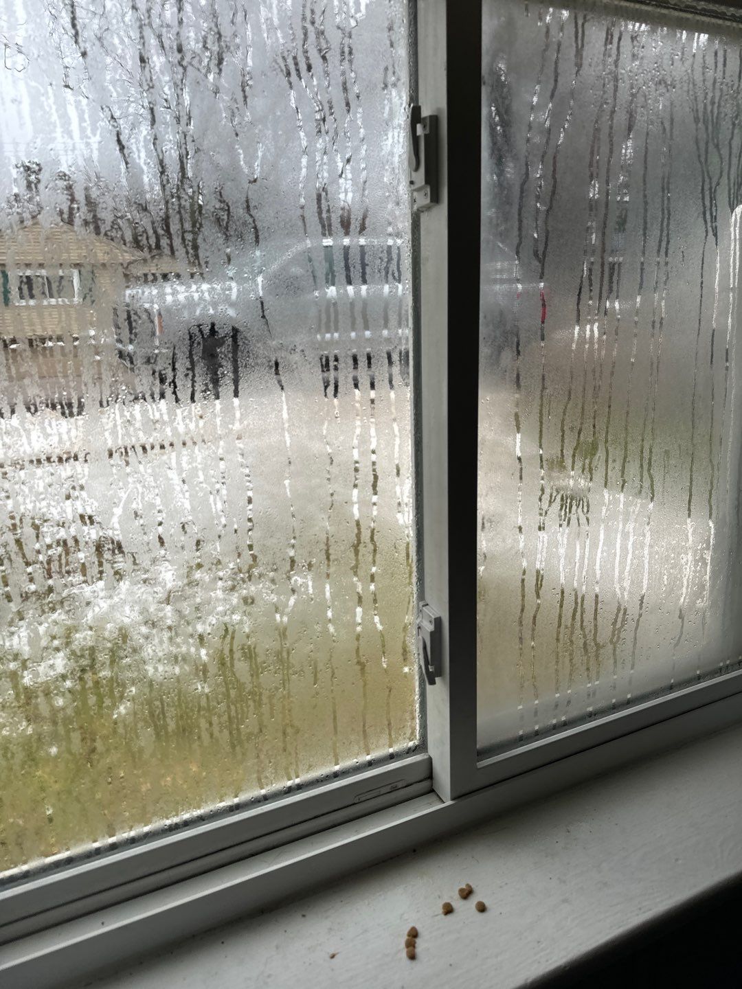 Project in Farmington Hills by EzDry Water Mitigation & Property Restoration