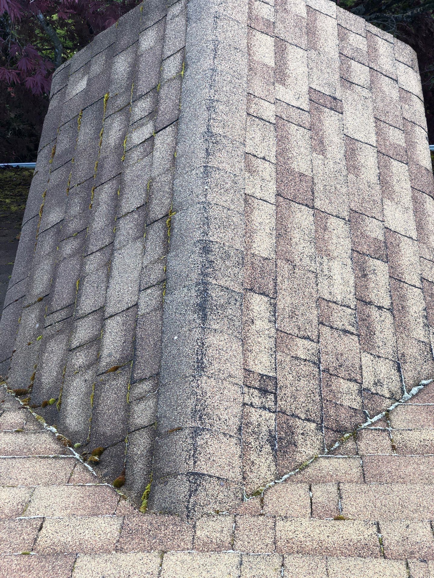 Project in Seattle by Peaks and Valleys Construction