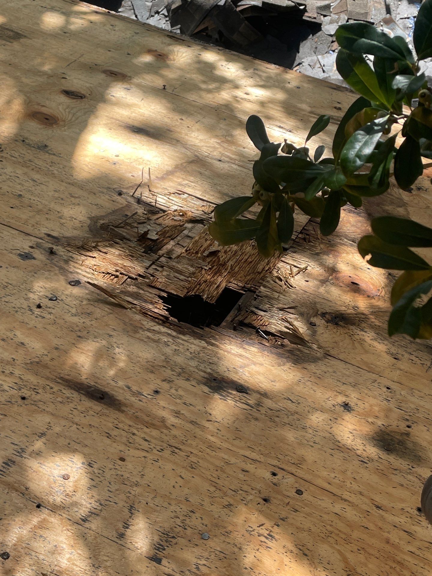 Roof Replacement Humble by Roof Repair Company