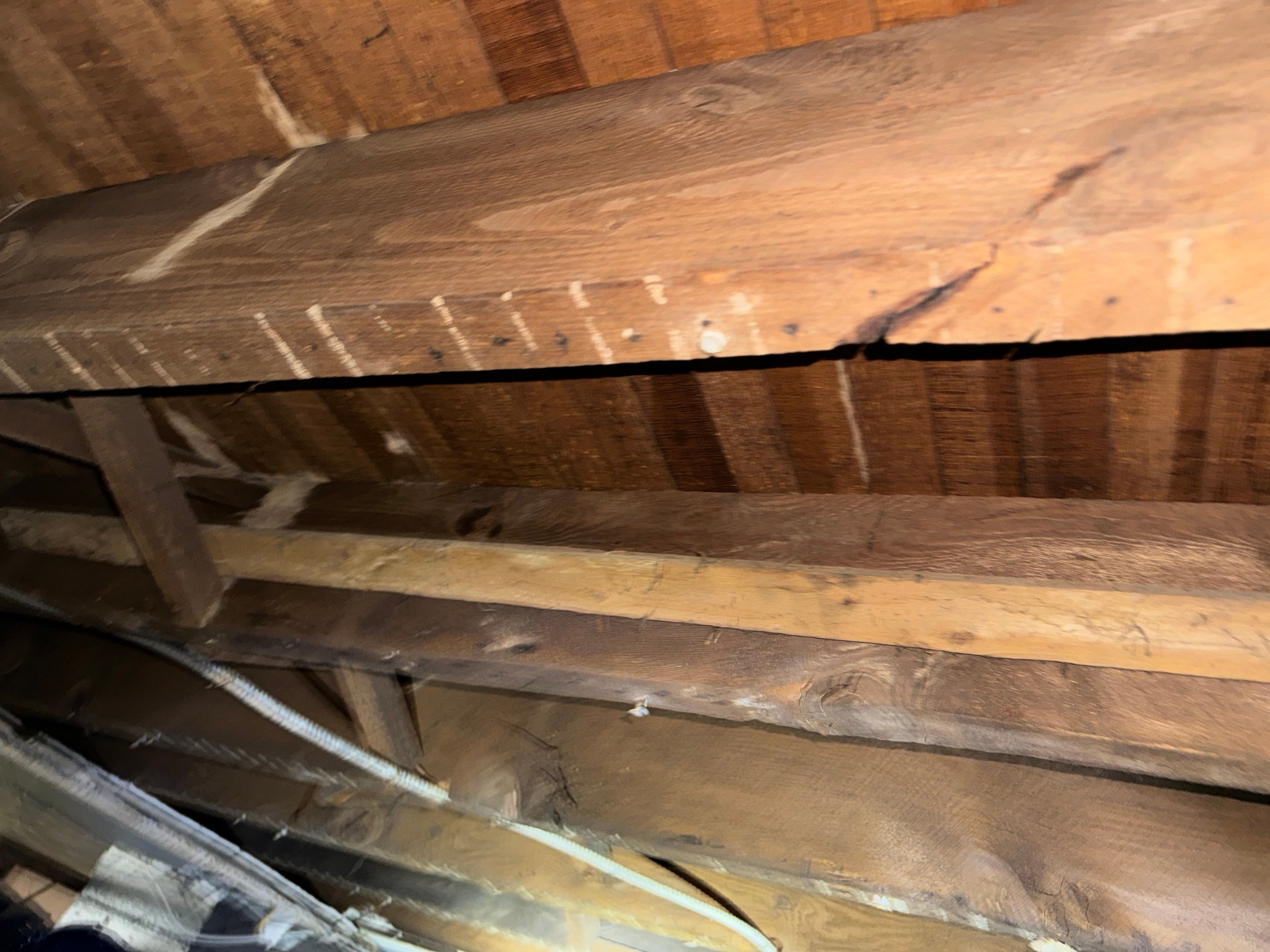 Interior French Drain East Orange NJ by Pure Service Pro, LLC 