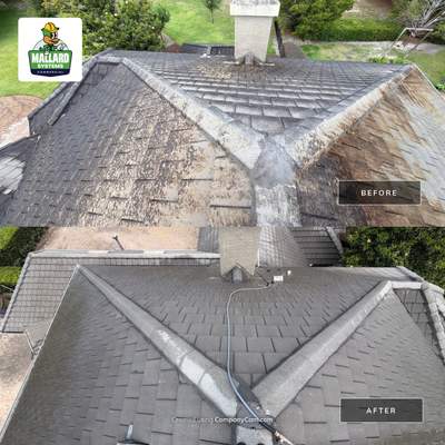 Professional Flat Tile Roof and Paver Cleaning in Apopka