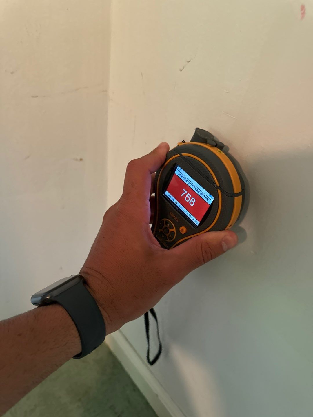 Project in West Bloomfield Township by EzDry Water Mitigation & Property Restoration