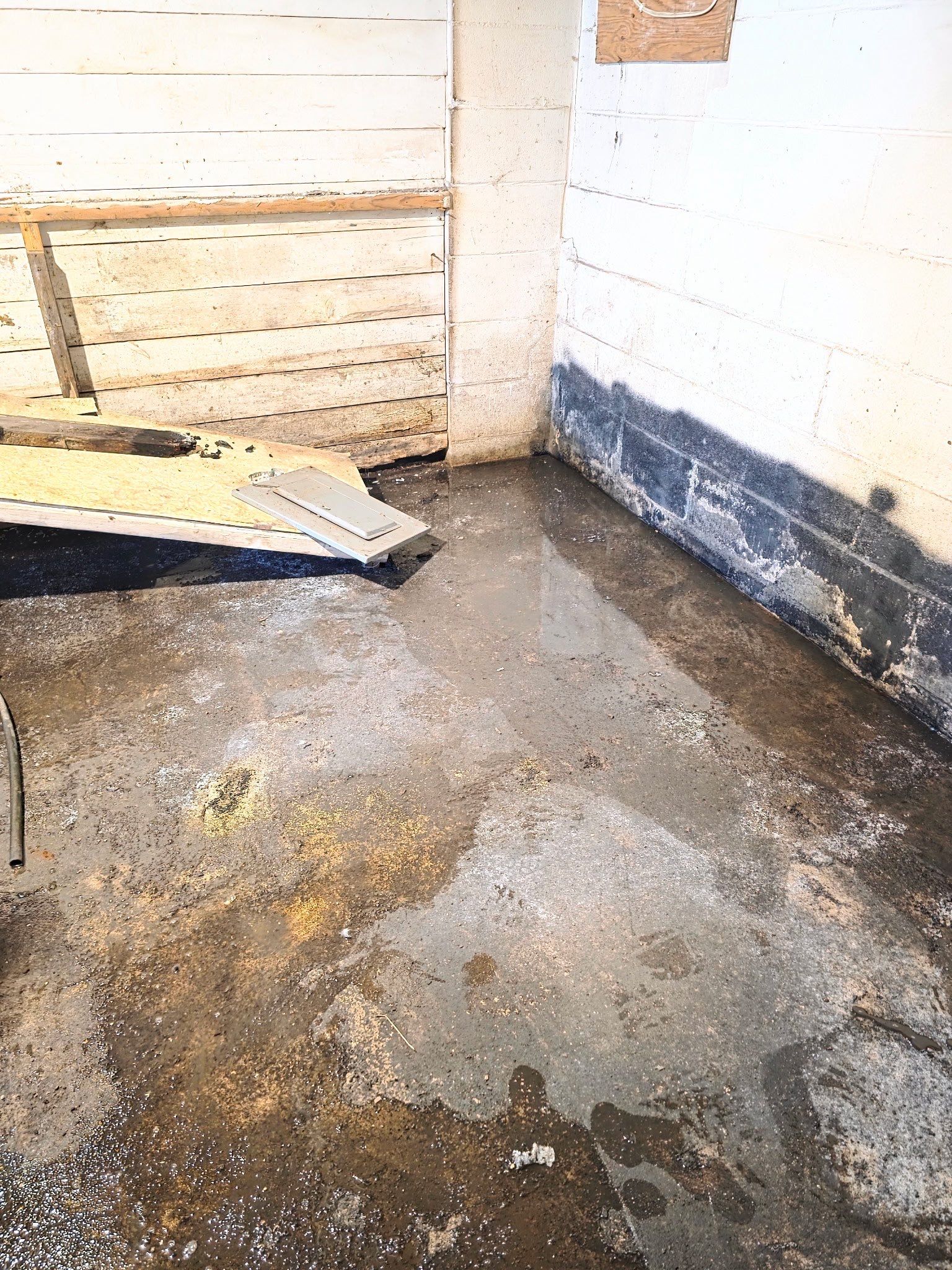 Taking Back Your basement by Local waterproofing And Concrete