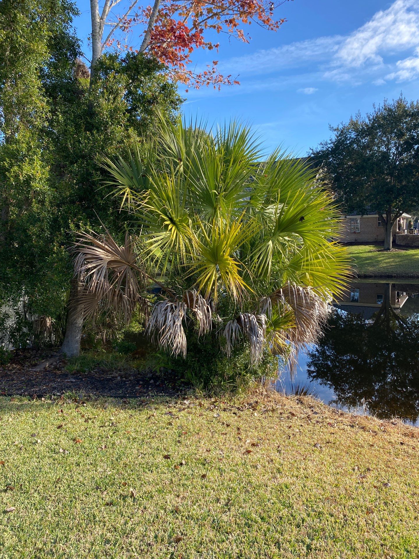 Deerwood Resident | General Landscaping by ProGreen Services