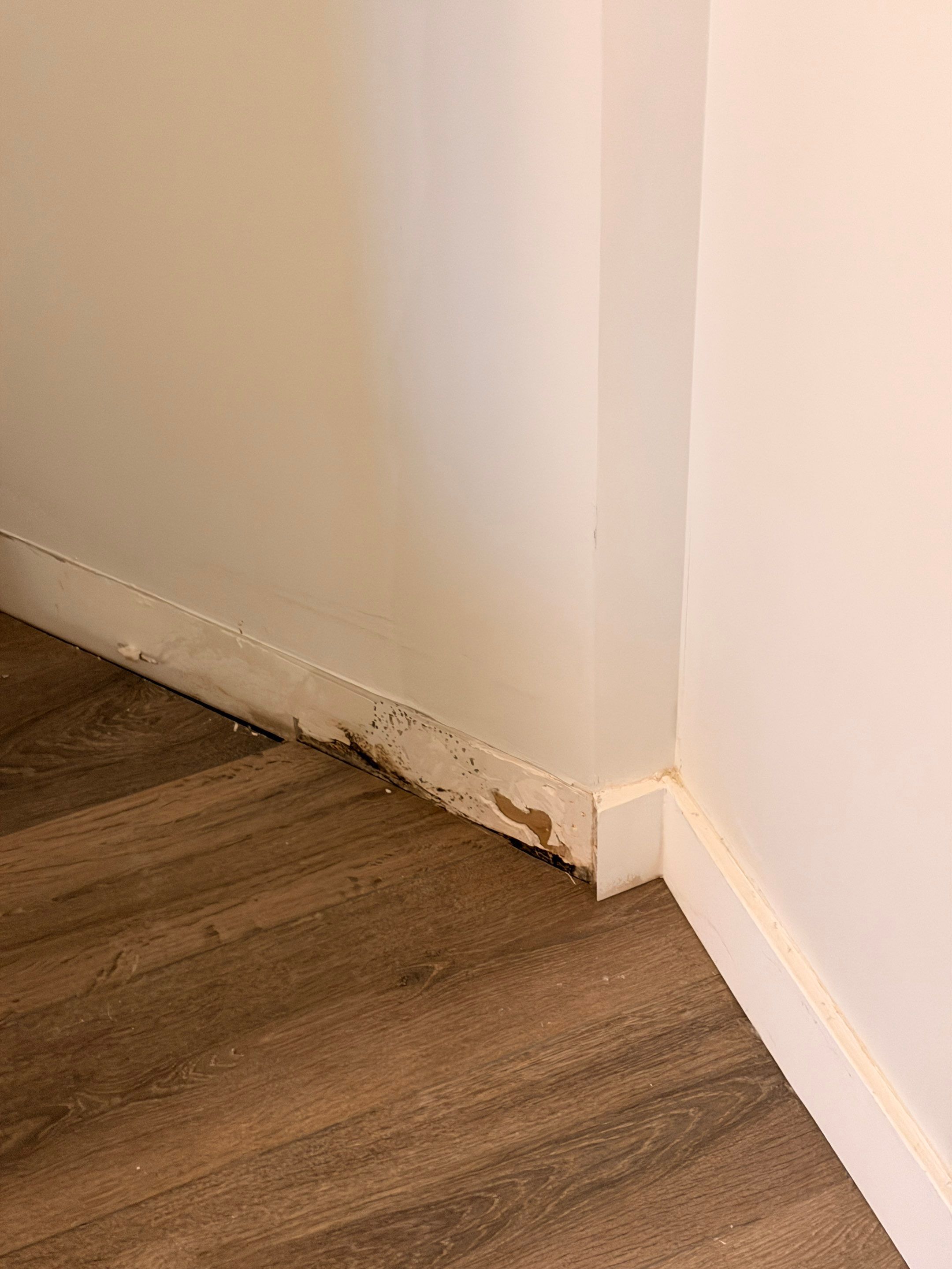Mold Remediation & Flooring Restoration After Moisture Barrier Failure by YVR Construction Group