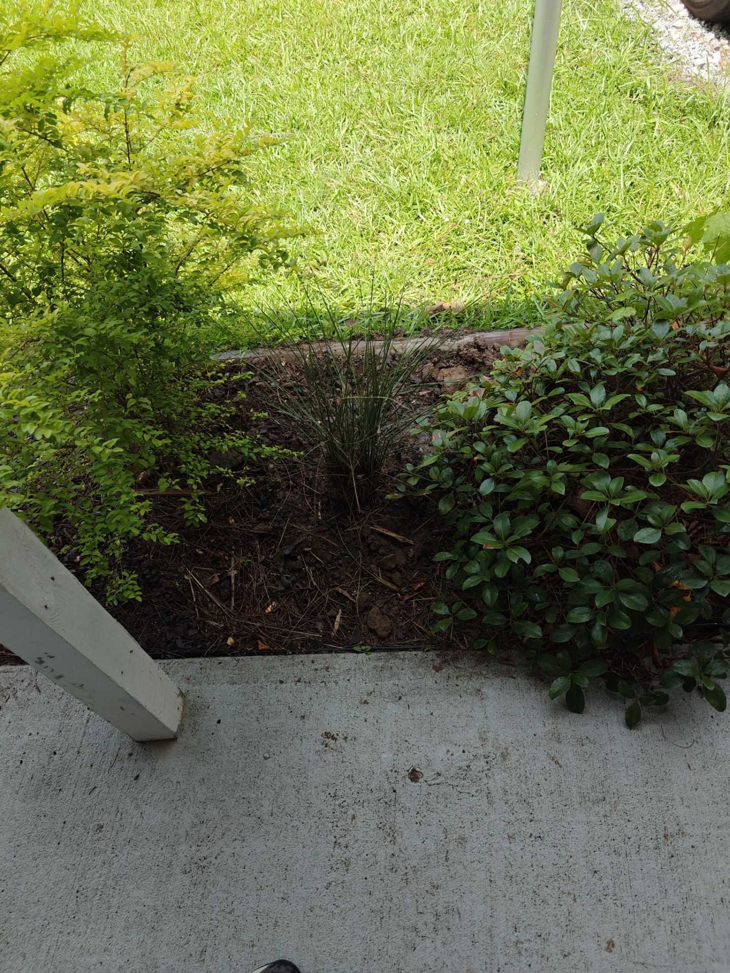Weekly Landscaping  by College Bros Outdoor services