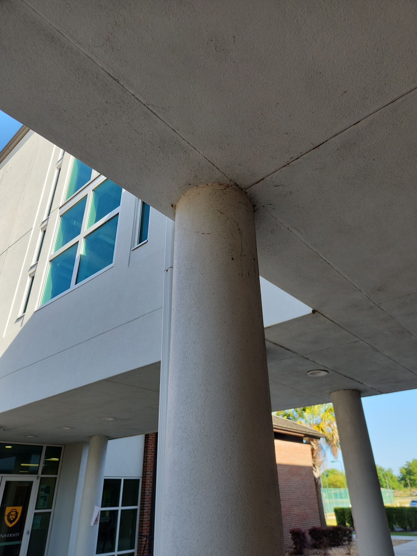 Project in Lake Wales by Drone Clean