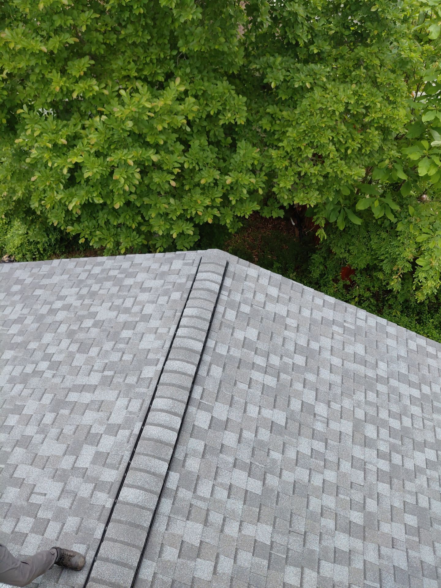 Alexandria: Residential Roof Replacement with CertainTeed Landmark Pro in Max Def Pewter by RM Banning, Inc.