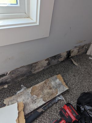 Mold Remediation in Jeffersonville, IN