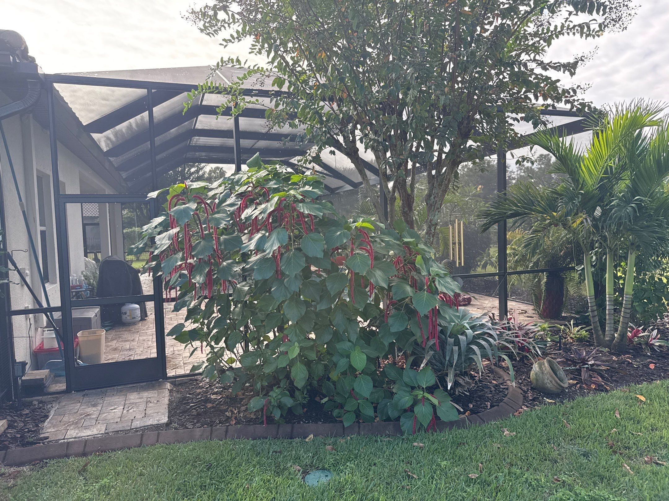 Pool Cage Cleaning | Rye Wilderness, Bradenton FL by Sunshine AquaWash