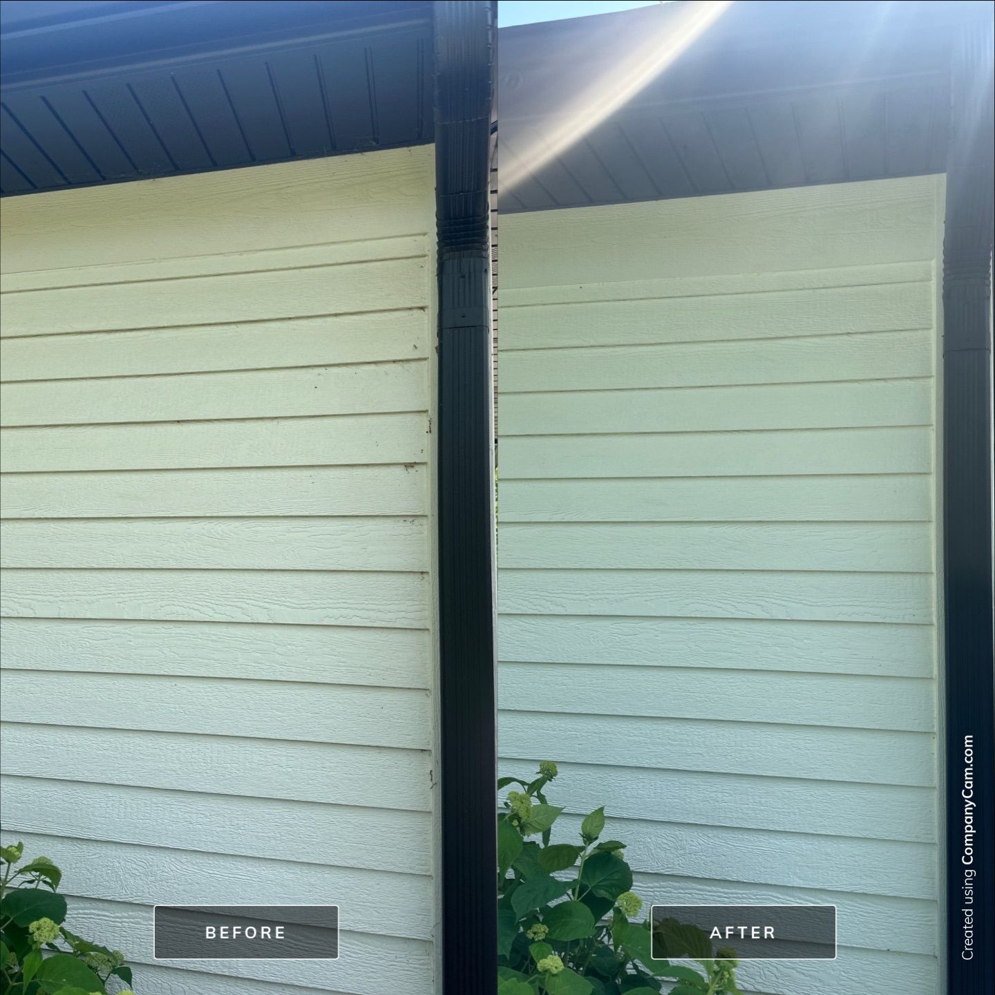 Project in Palatine by Simmons Power & Soft Washing