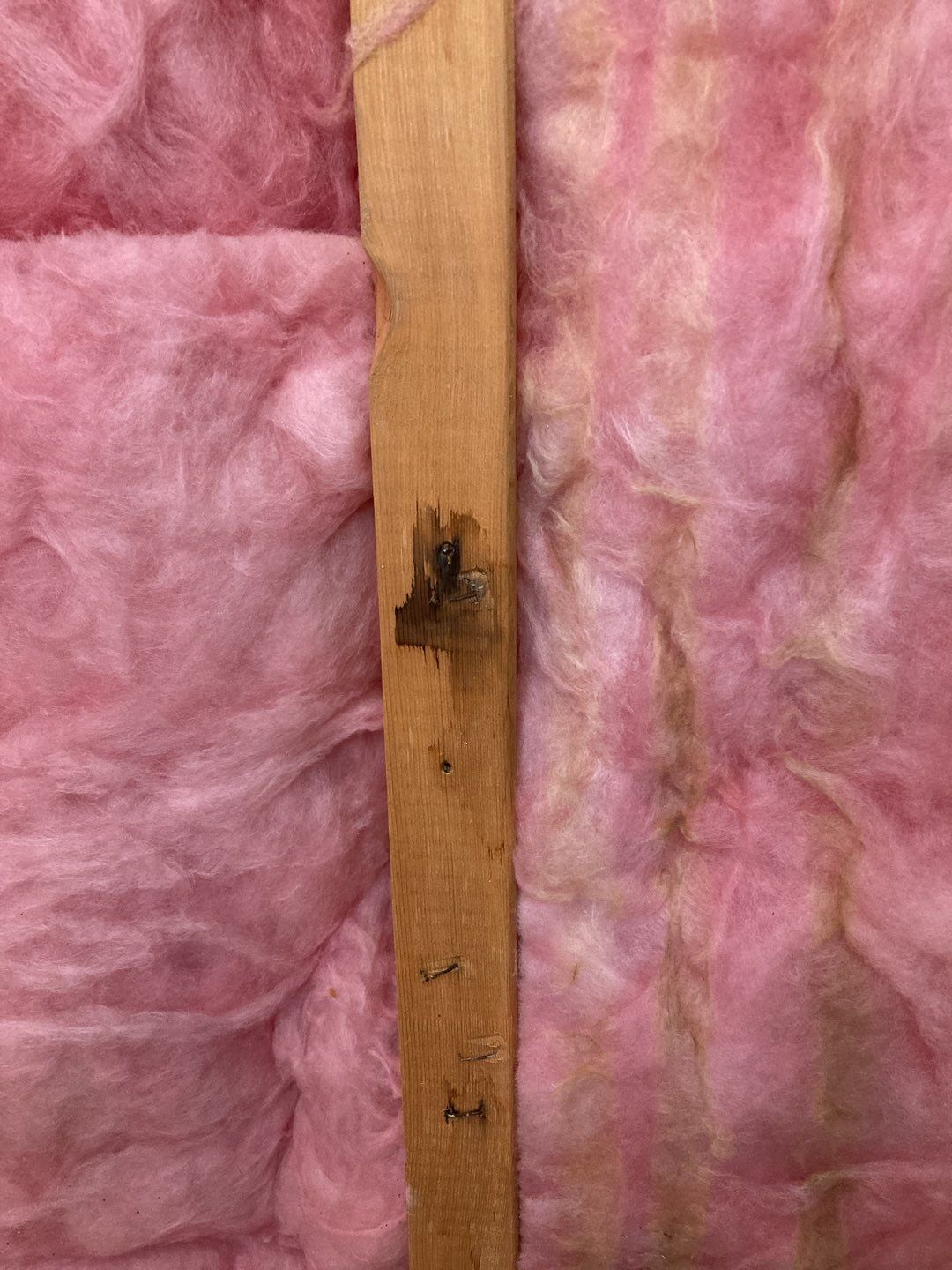 Mold Remediation  by Accountable Home Services