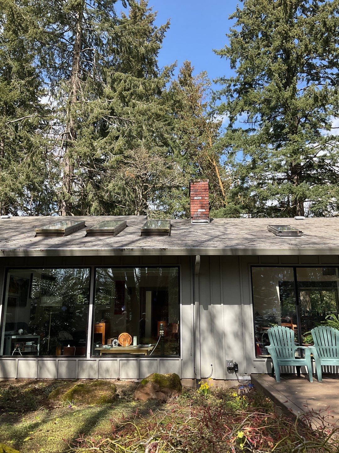 Roof Treatment using Biocide by Willamette Outdoor Wash LLC