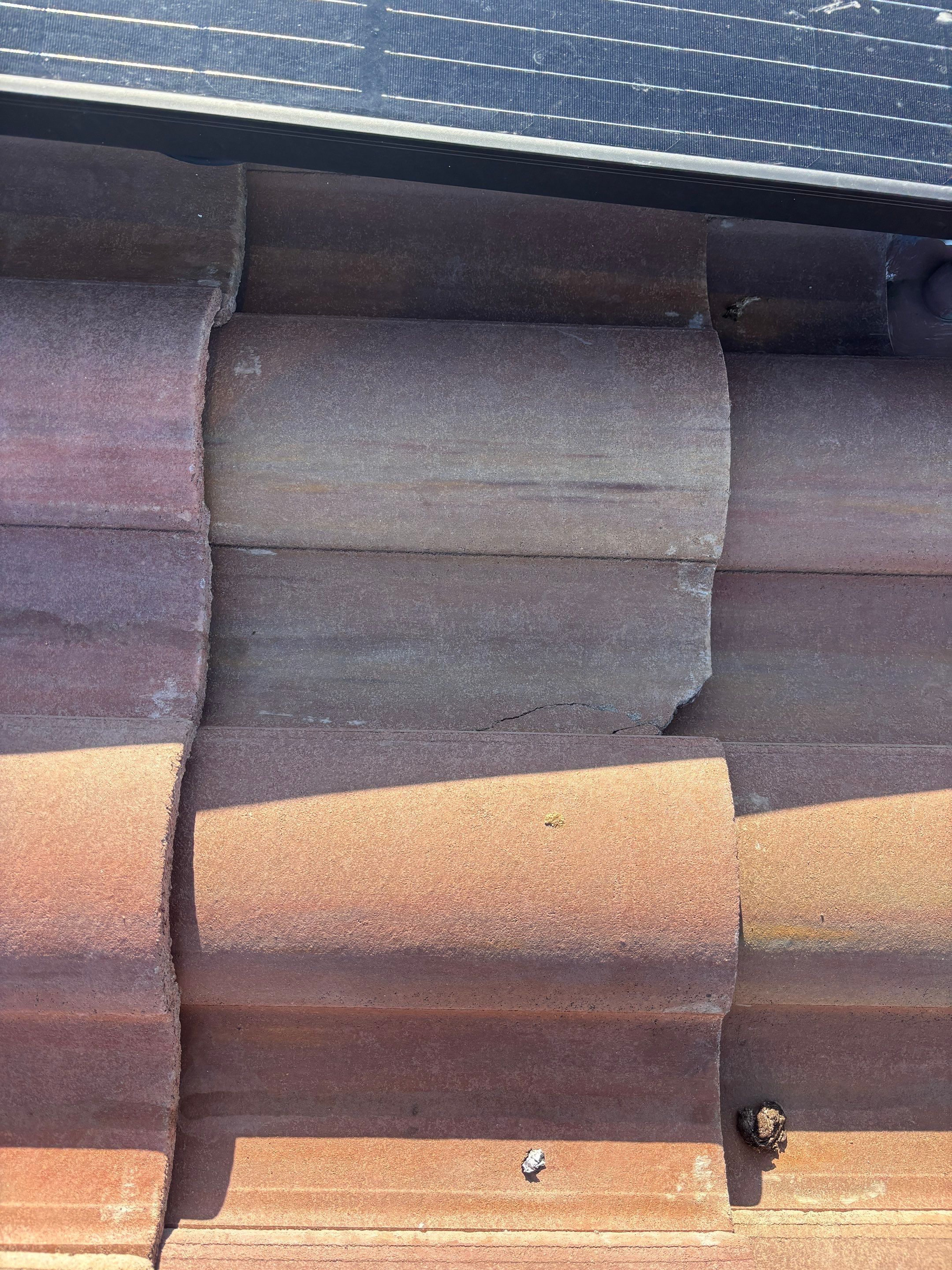 Bird Proofing Project in Victorville Ca by Palm Coast Solar Cleaning