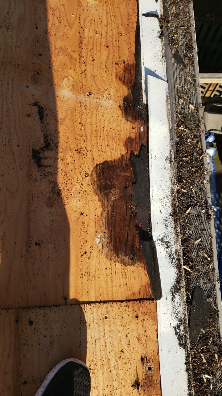 Springfield: CertainTeed Landmark Pro Designer Shingles in Max Def Pewterwood by RM Banning, Inc.