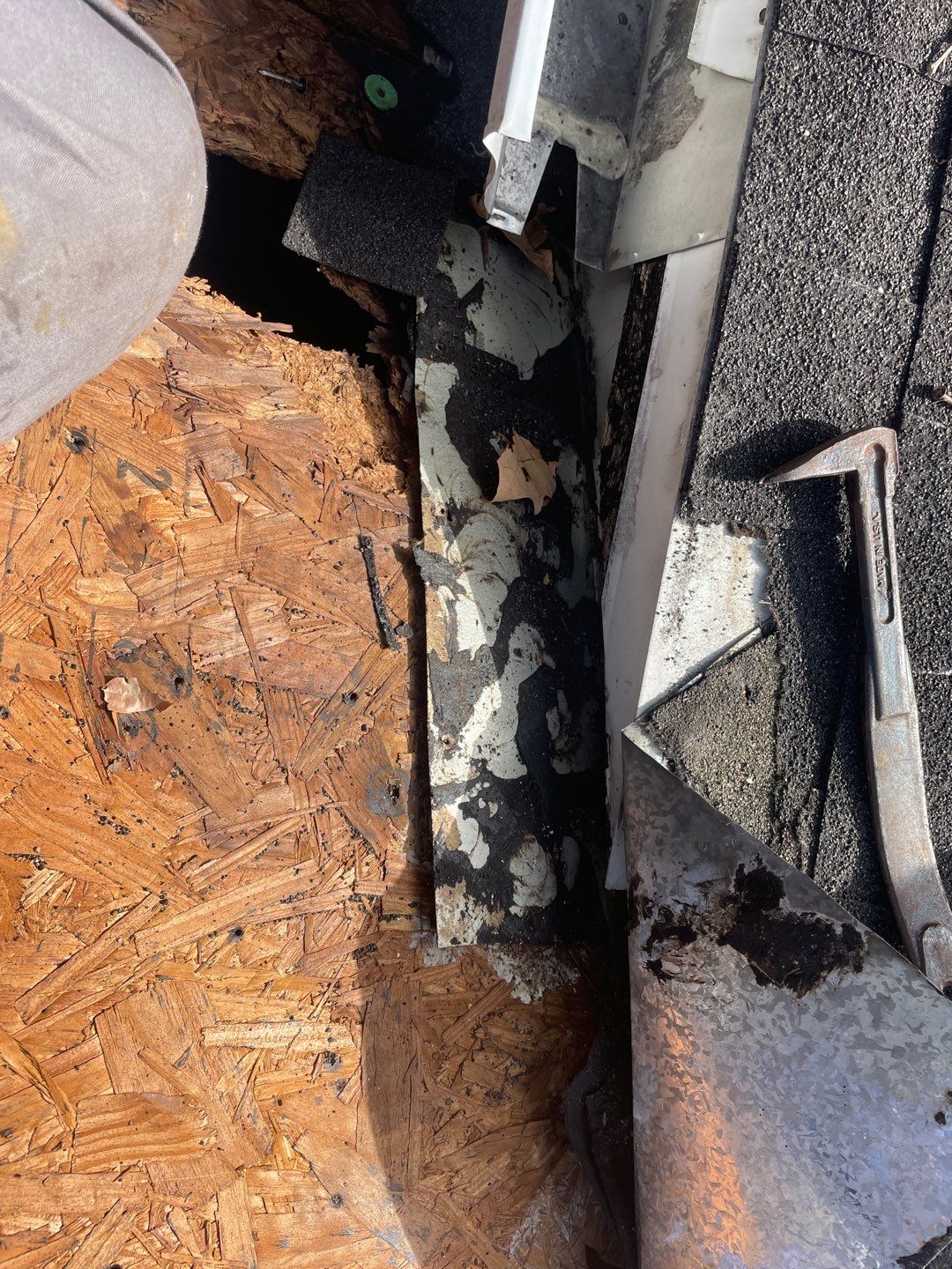 Residential Roofing Repair using Asphalt Shingles by RoofSmith of Tampa Bay
