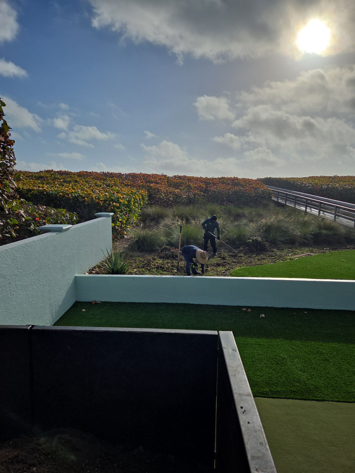 Hutchinson Island Oceanfront Landscape Restoration by Alpha Zeta Enterprises Inc