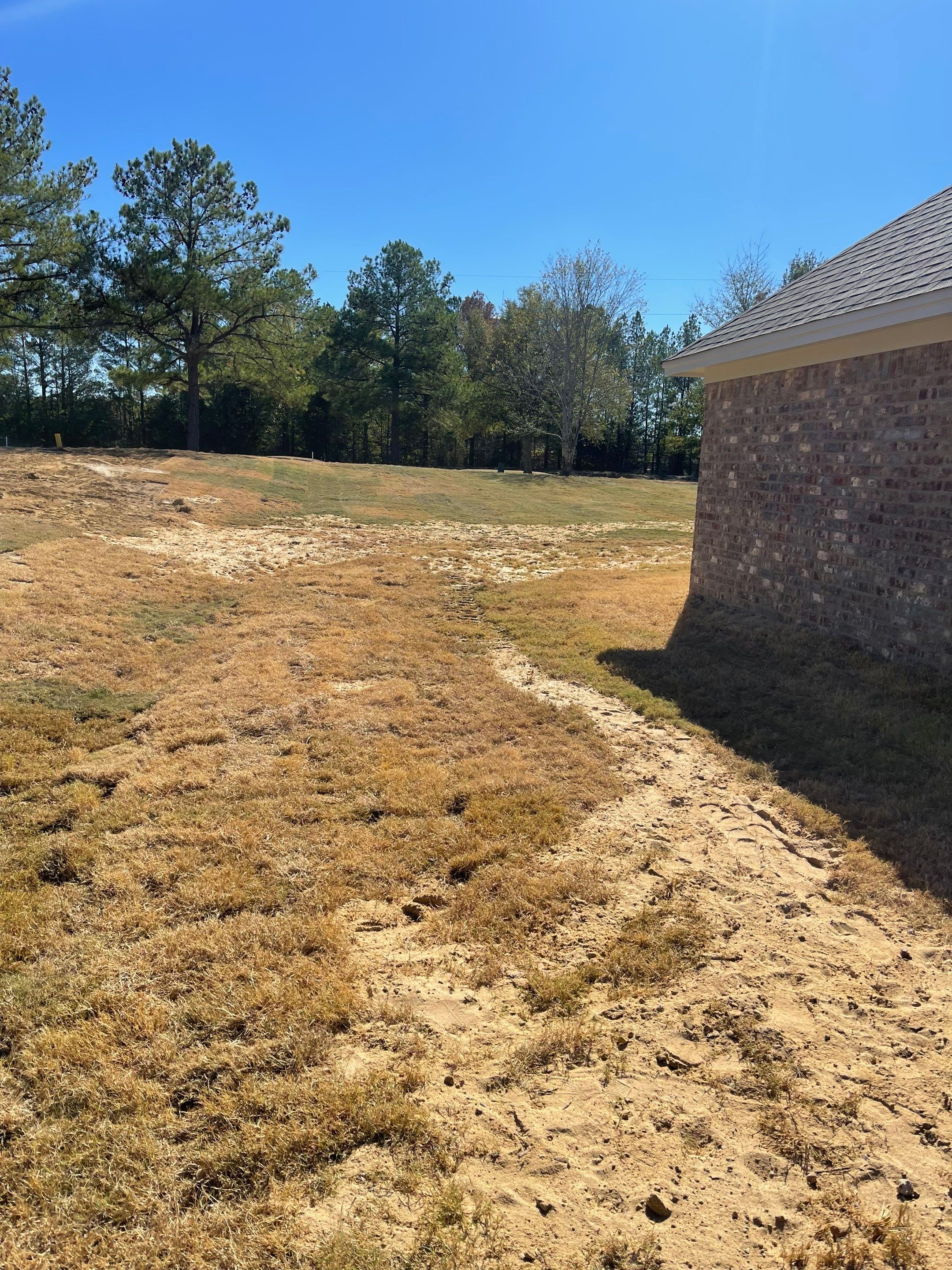 6ft Treated Pine Good Neighbor w/Cedar & Ornamental by Roberson Construction LLC
