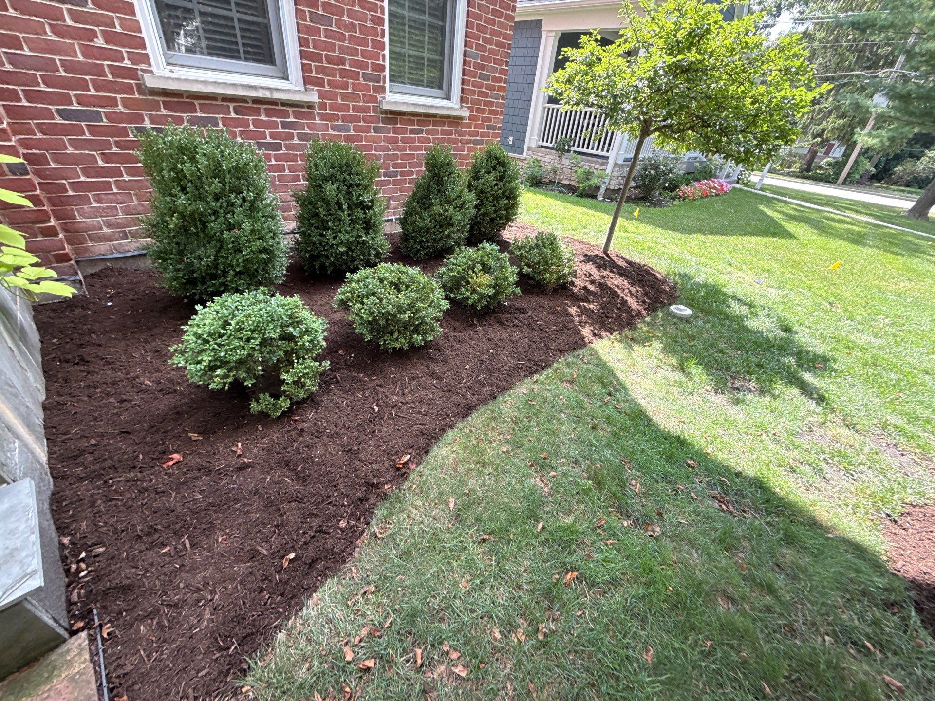 Jason G. - Arlington Heights, IL by A&N