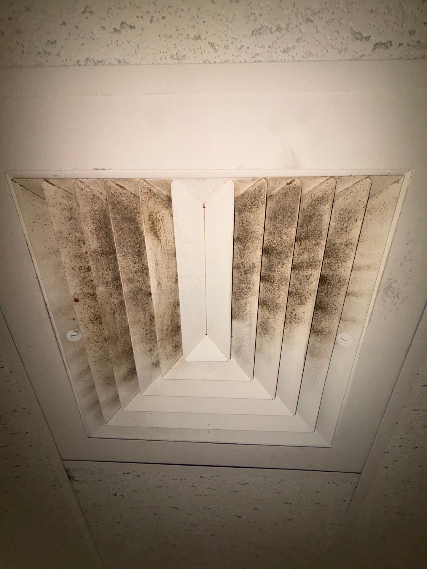 Commercial Air Duct Cleaning in Clermont by Hygienic Air, Inc