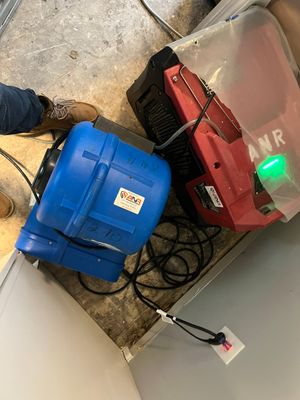 Water Damage and Visible Mold in a Home in Clarksville, IN